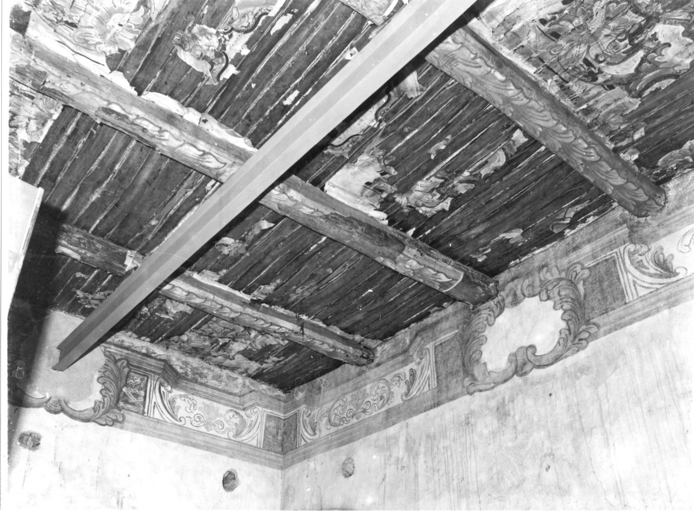 motivi decorativi vegetali (decorazione pittorica) - bottega campana (sec. XVIII)