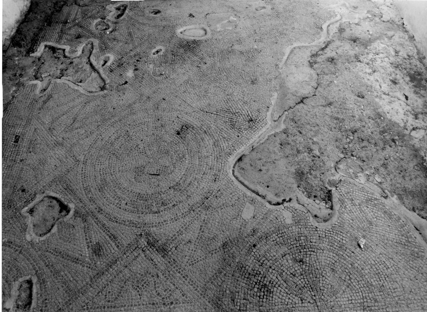 pavimento - bottega campana (sec. XVIII)