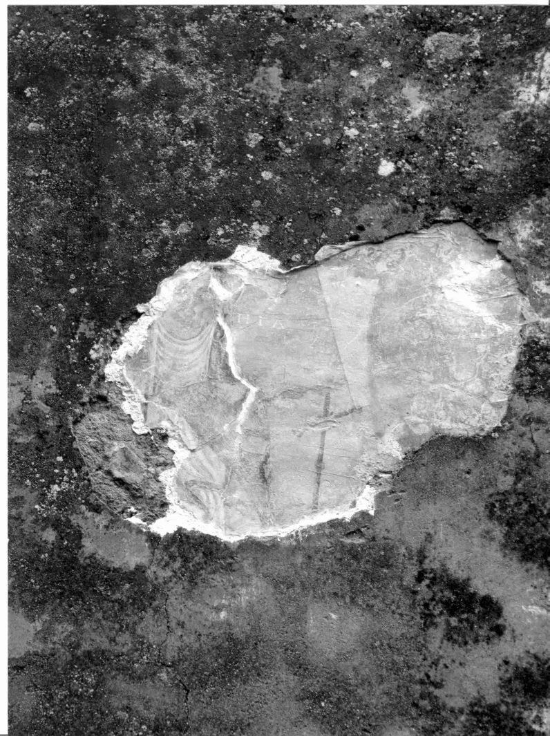 Santa Chiara (dipinto, frammento) - ambito campano (fine/inizio secc. XVI/ XVII)