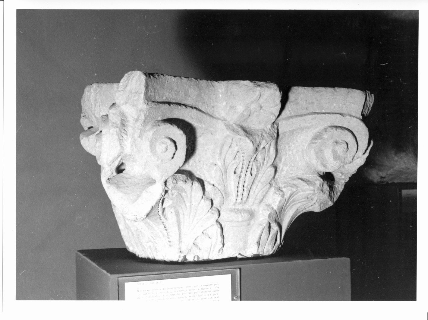 capitello, elemento d'insieme - bottega campana (sec. XII)