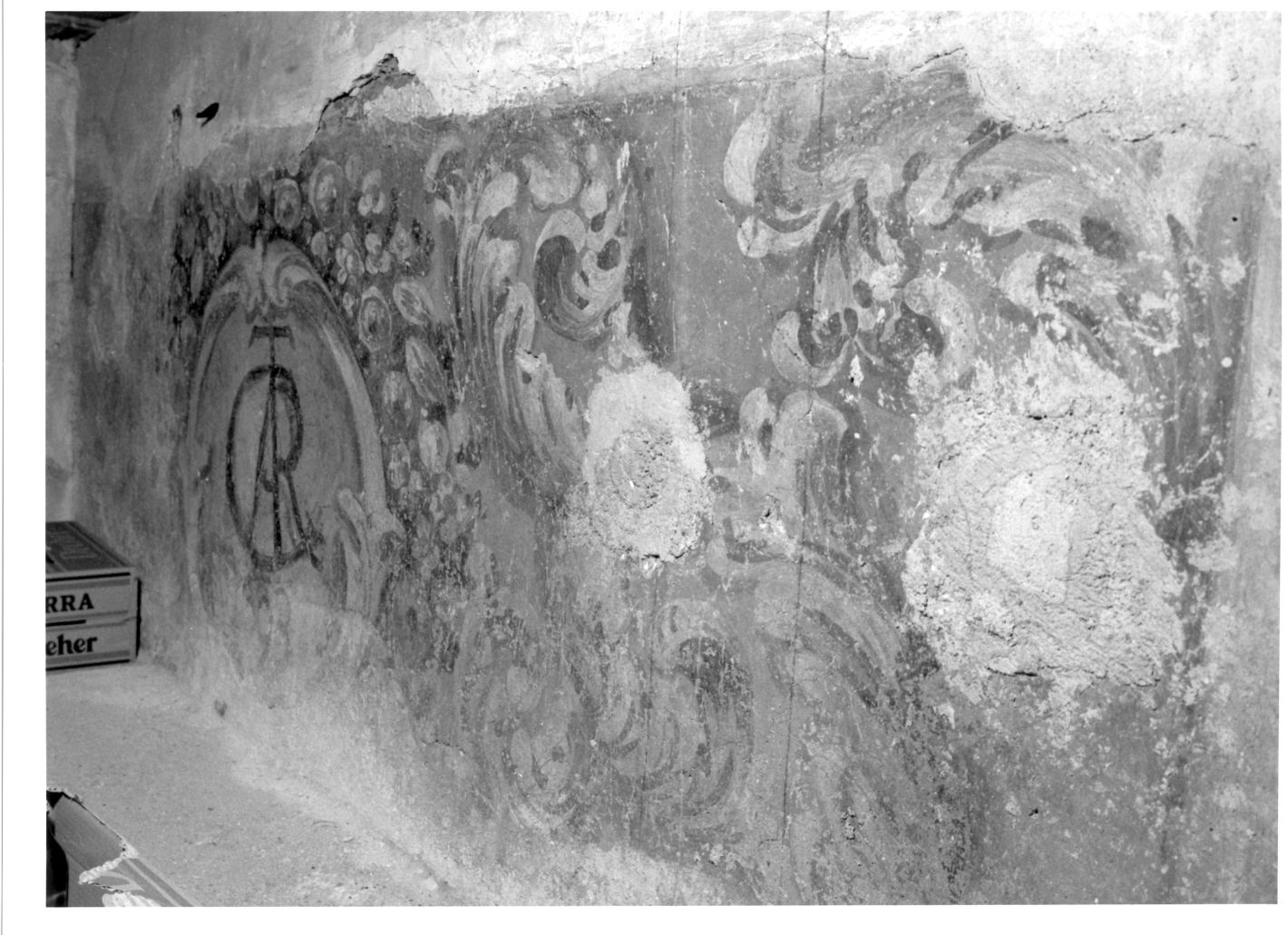 motivi decorativi a girali vegetali (decorazione pittorica) - ambito campano (sec. XVIII)