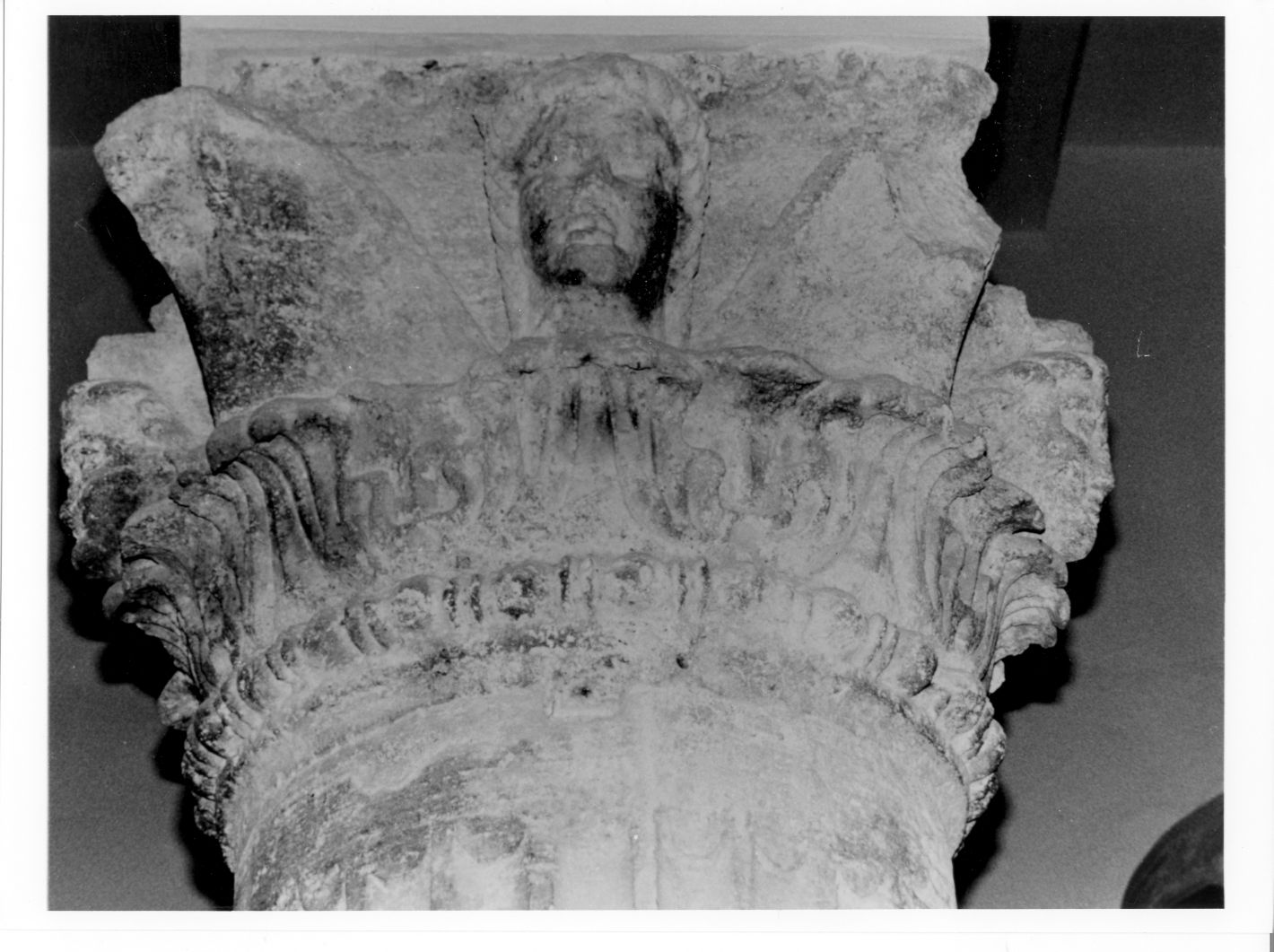 capitello corinzio - bottega campana (sec. I)