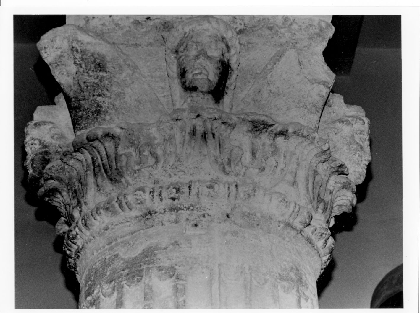 capitello corinzio - bottega campana (sec. I)