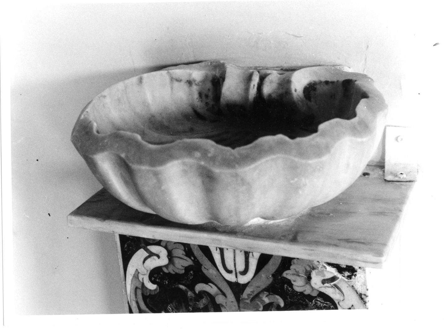 acquasantiera - a conchiglia - bottega campana (sec. XVIII)