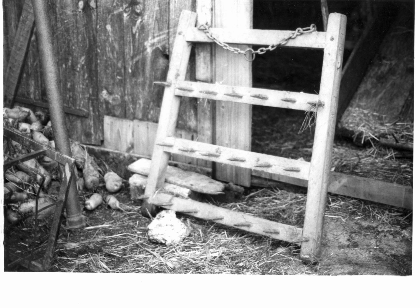 erpice - bottega campana (sec. XX)