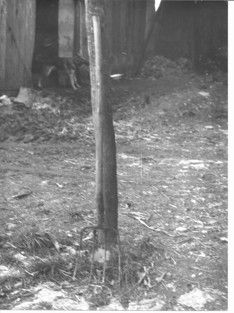 forcone per il letame - bottega campana (sec. XX)