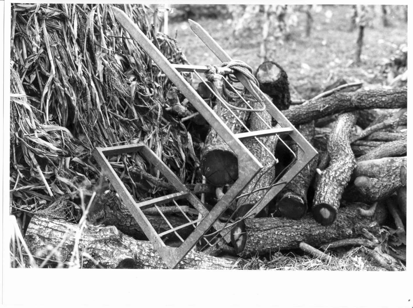 sporta - bottega campana (sec. XX)