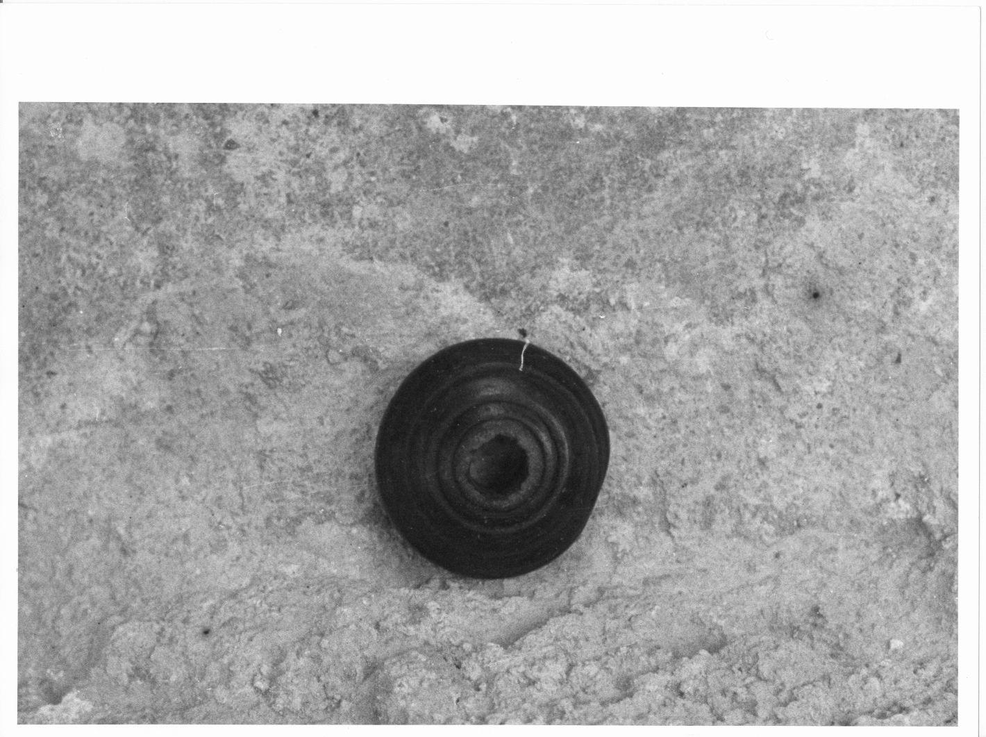 peso per canocchia - bottega campana (sec. XIX)