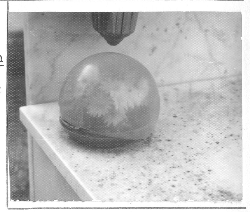 sfera di plastica con margherite - bottega campana (sec. XX)