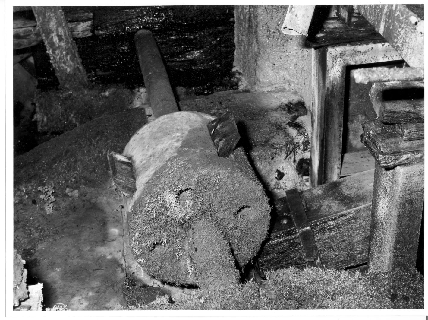 albero a motore - bottega campana (sec. XX)