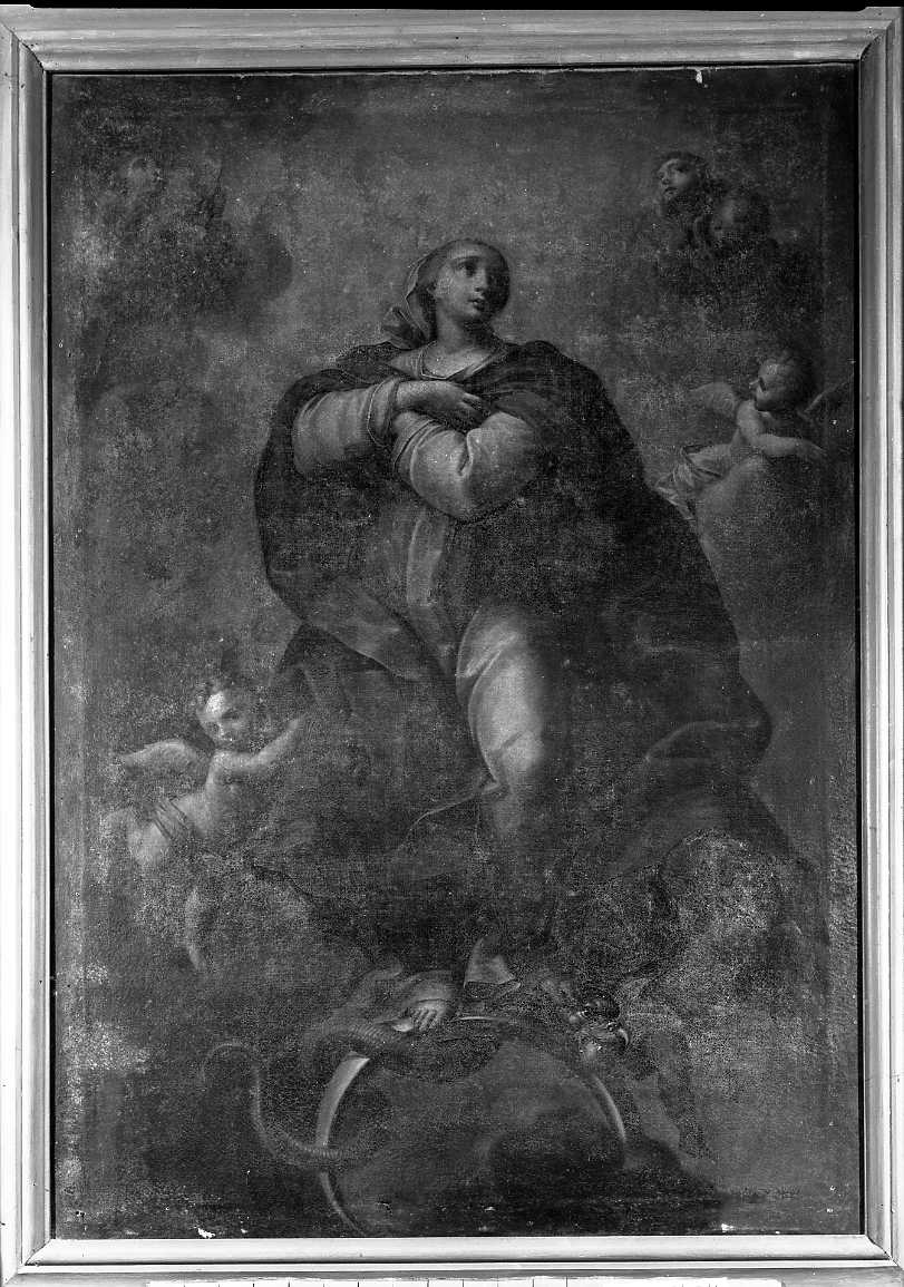 Madonna Immacolata (dipinto) - ambito emiliano (sec. XVII)