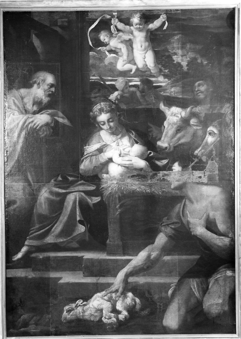 adorazione dei pastori (pala d'altare) di Carracci Agostino (sec. XVI)