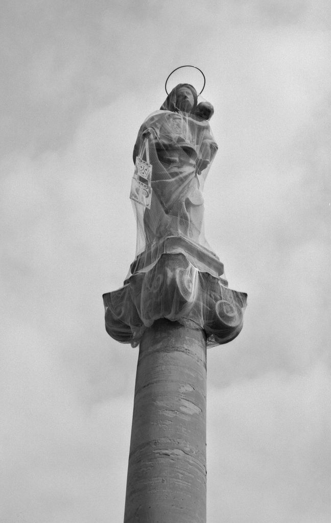 Madonna del Carmelo (statua) di Ferreri Andrea (sec. XVIII)