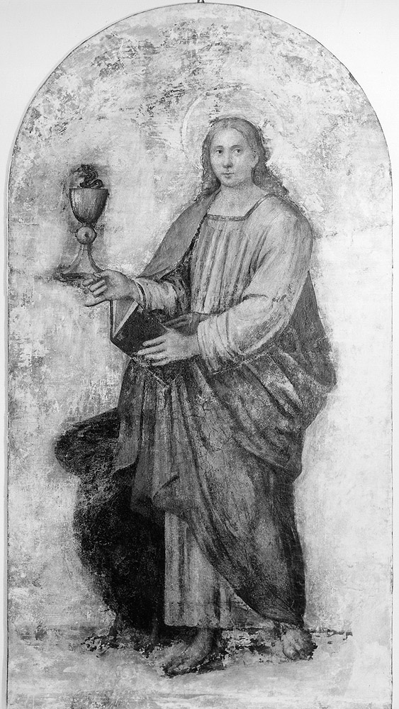 San Giovanni Evangelista (dipinto, elemento d'insieme) di Ramenghi Bartolomeo detto Bagnacavallo (attribuito) (prima metà sec. XVI)