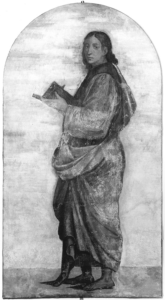 San Tommaso Apostolo (dipinto, elemento d'insieme) di Ramenghi Bartolomeo detto Bagnacavallo (attribuito) (prima metà sec. XVI)