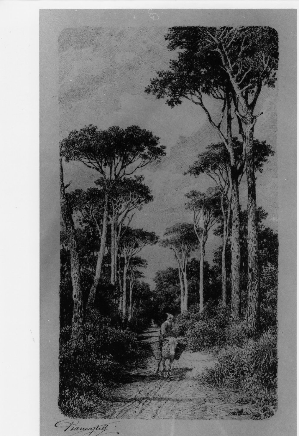 paesaggio alberato con frate su un asino (disegno, elemento d'insieme) di Piancastelli Giovanni (sec. XX)