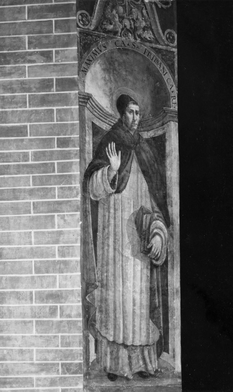 beato Massimo da San Frediano (dipinto, elemento d'insieme) di Raibolini Francesco detto Francesco Francia (cerchia) (prima metà sec. XVI)