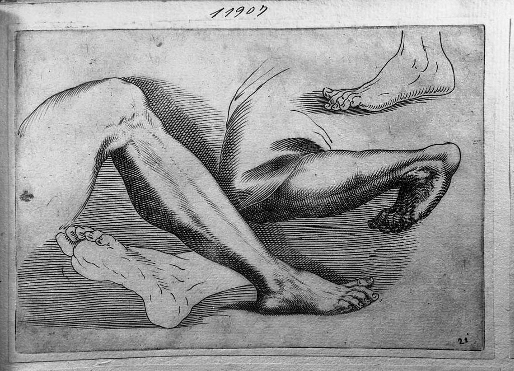 Libro di schizzi: due gambe e due piedi (stampa) di Valesio Giovanni Luigi (secc. XVI/ XVII)
