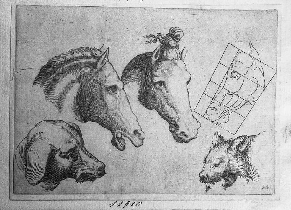 Libro di schizzi: teste di animali: tre di cavallo, una di cane, una di gatto? (stampa) di Valesio Giovanni Luigi (secc. XVI/ XVII)