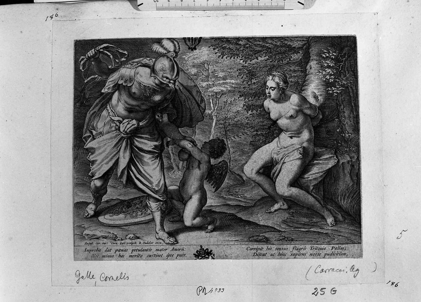 Venere, Minerva e Cupido (stampa) di Carracci Agostino, Galle Cornelis (secc. XVI/ XVII)