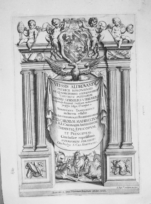 Frontespizio con stemma del cardinale Madruzzo (stampa) di Coriolano Giovanni Battista (sec. XVII)