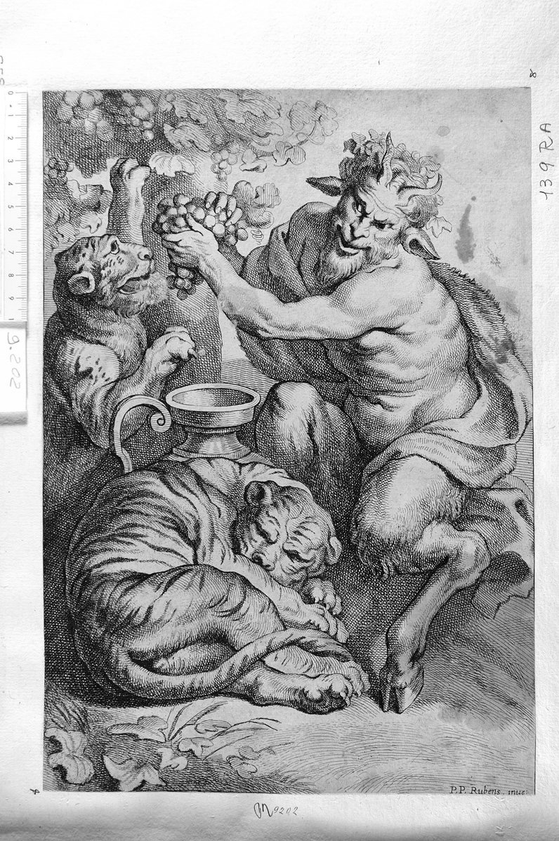 Satiro con due leoni (stampa) di Rubens Pieter Paul - ambito fiammingo (sec. XVII)