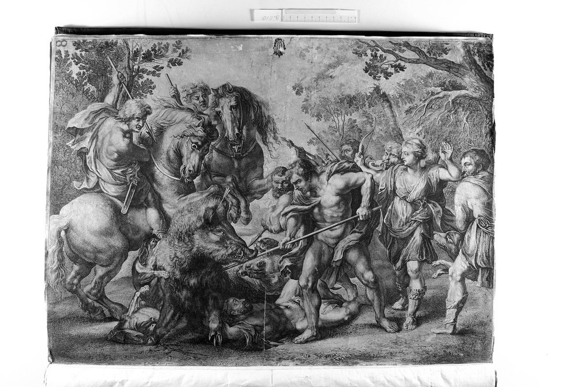 Diana a caccia del cinghiale (stampa) di Moermans Jacobus, Rubens Pieter Paul (sec. XVII)