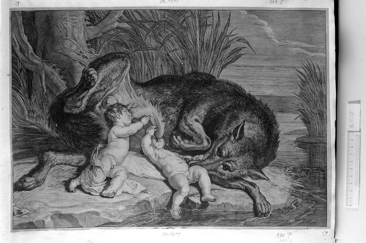 La lupa che allatta Romolo e Remo (stampa) di Pontius Paul, Rubens Pieter Paul (sec. XVII)