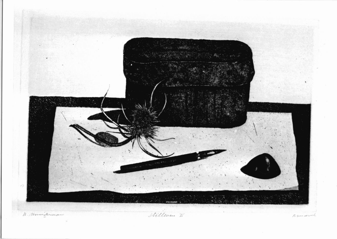 natura morta con penna, conchiglia, fiore di cardo, cofanetto, foglio (stampa) di Minderman Willelm (sec. XX)