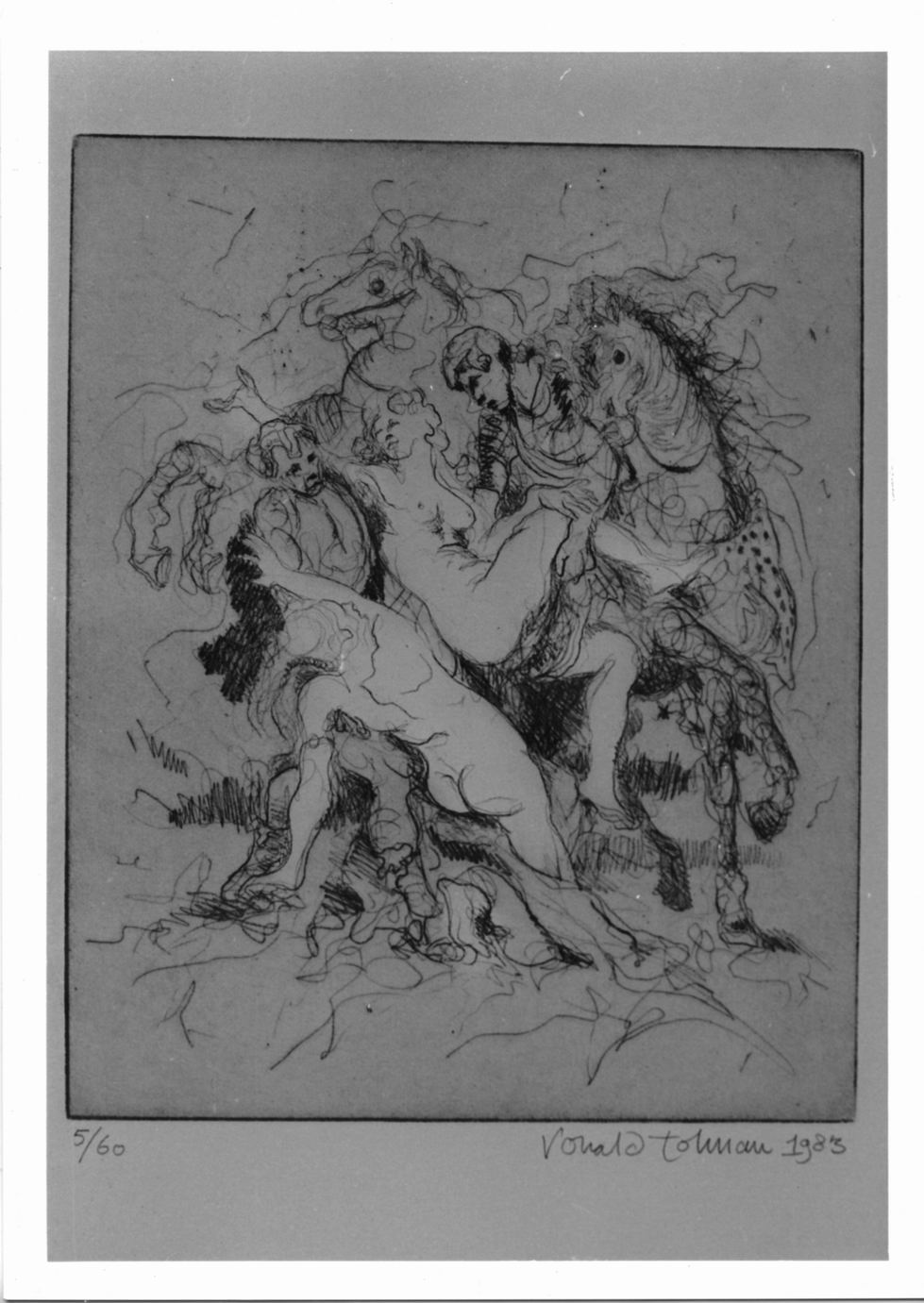 Figure e cavalli da Rubens, il ratto delle figlie di Leucippo (stampa) di Tolman Ronald (sec. XX)