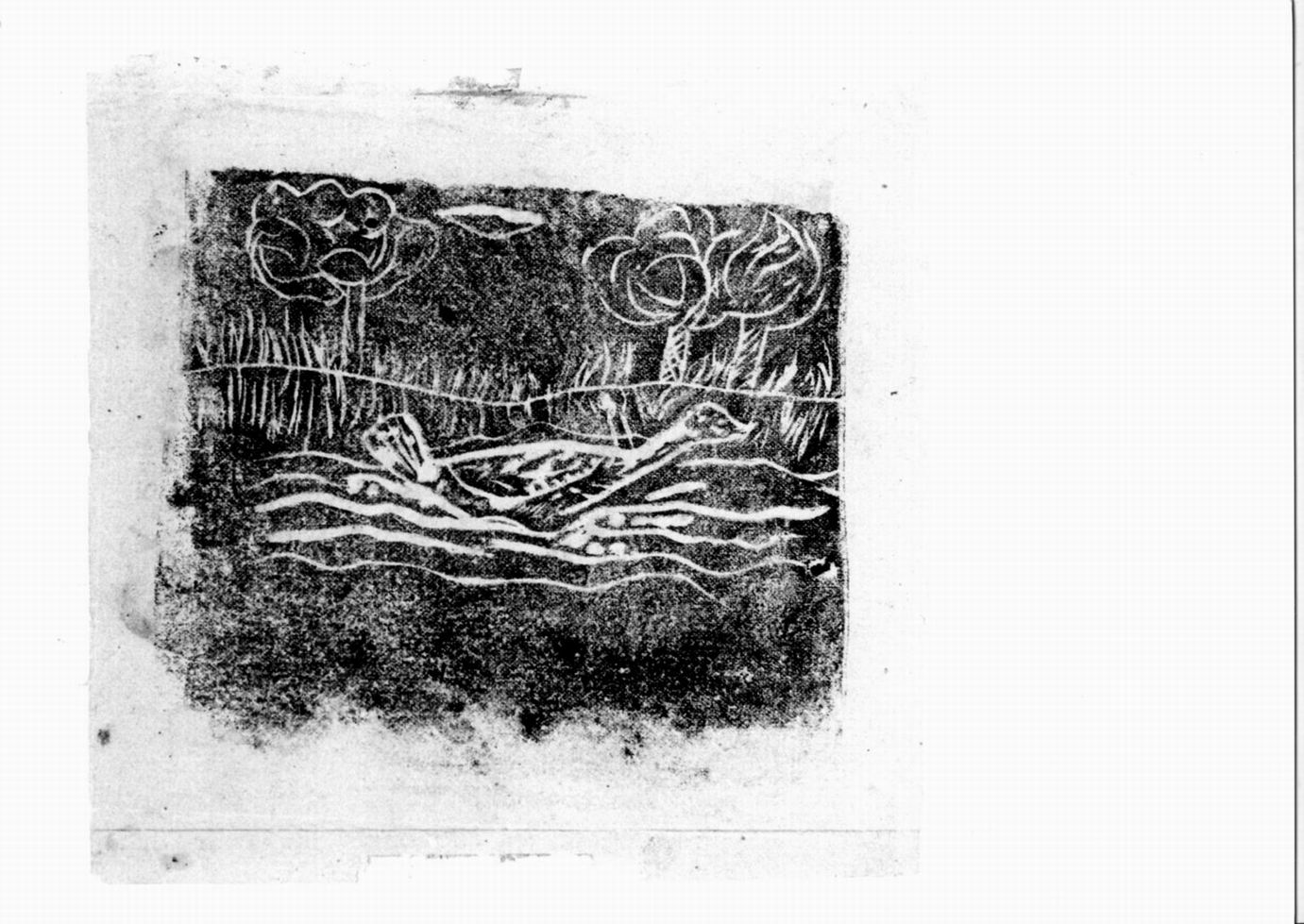anatra in paesaggio con alberi (stampa) di Rossi Gino (sec. XX)