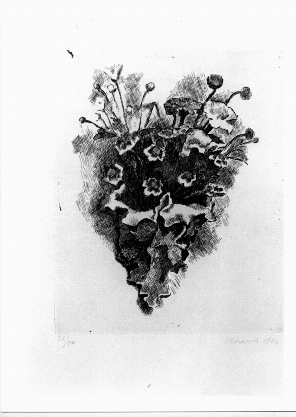cornetto con fiori di campo, cornetto con fiori di campo (stampa) di Morandi Giorgio (sec. XX)