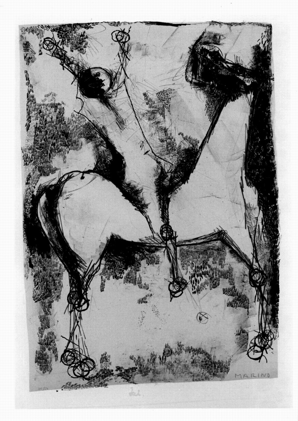cavaliere con cavallo (stampa) di Marini Marino (sec. XX)