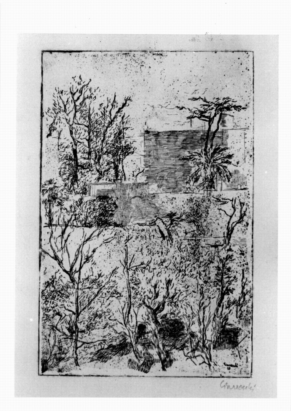 veduta di cortile con alberi e case (stampa) di Ciarrocchi Arnoldo (sec. XX, sec. XX)