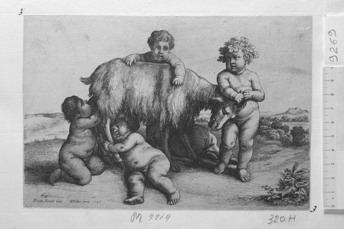 Baccanale di bimbi: quattro putti che giocano con un caprone (stampa) di Hollar Wenzel (sec. XVII)