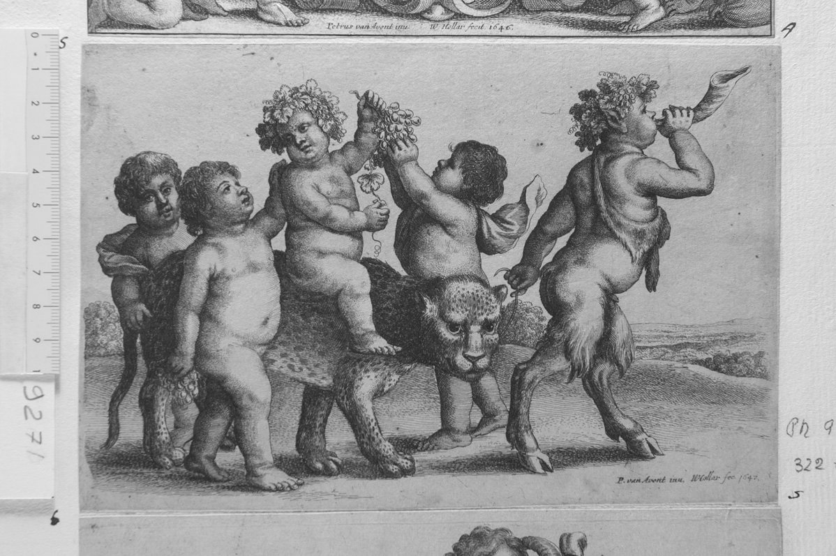 Baccanale di bimbi: quattro putti con una tigre e un fauno (stampa) di Hollar Wenzel (sec. XVII)