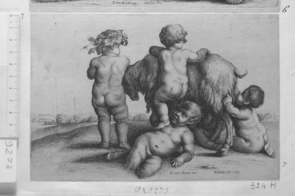 Baccanale di bimbi: quattro putti e una capra (stampa) di Hollar Wenzel (sec. XVII)