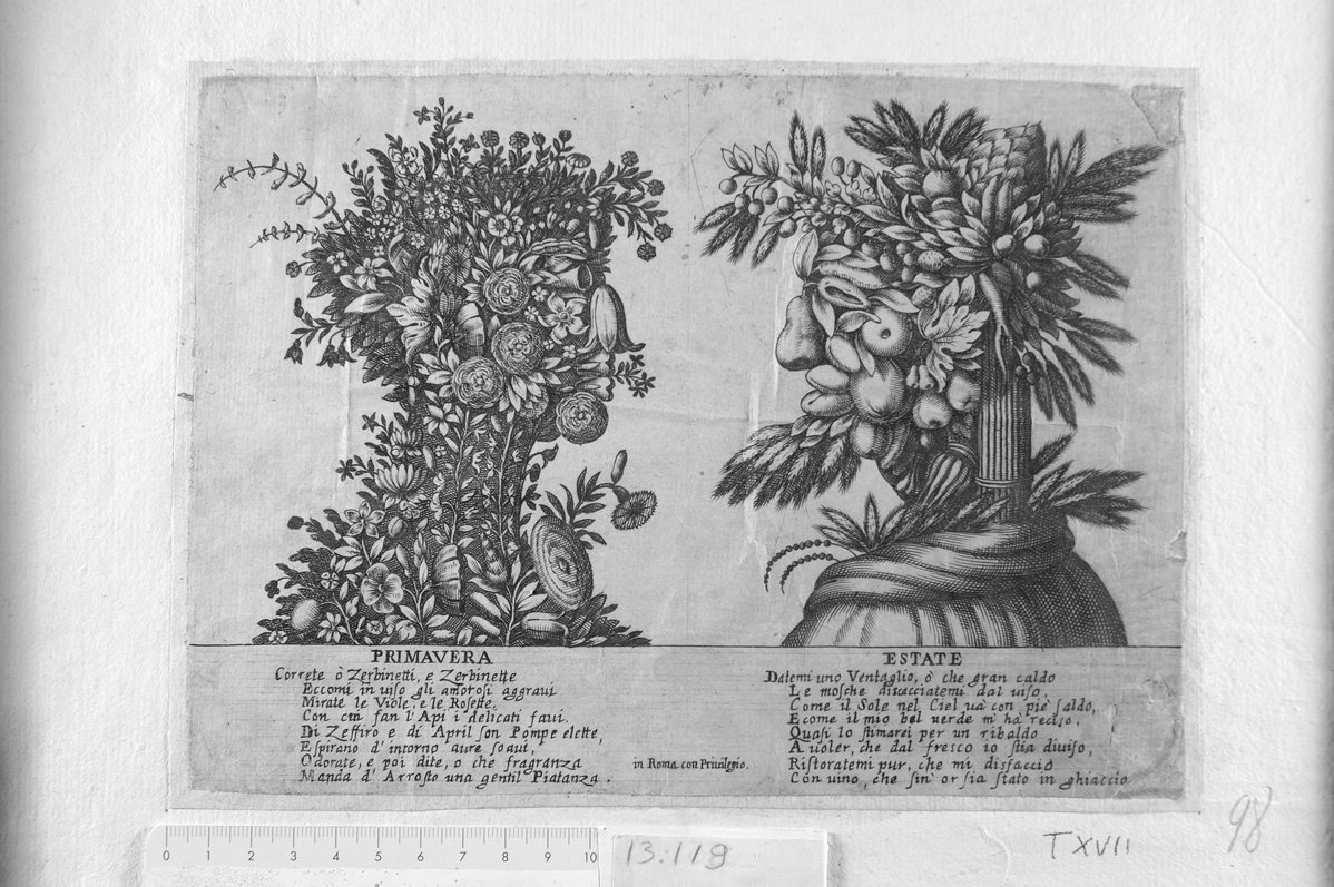 Fiori e frutta disposti a guisa di teste-Primavera-Estate (stampa) - ambito tedesco (sec. XVII)