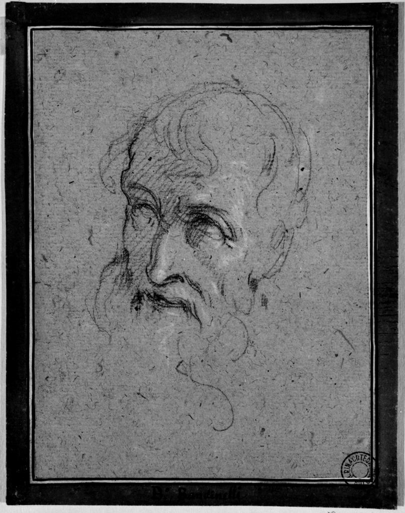 Testa di vecchio (disegno) di Lomi Aurelio (maniera) (fine/inizio secc. XVI/ XVII)