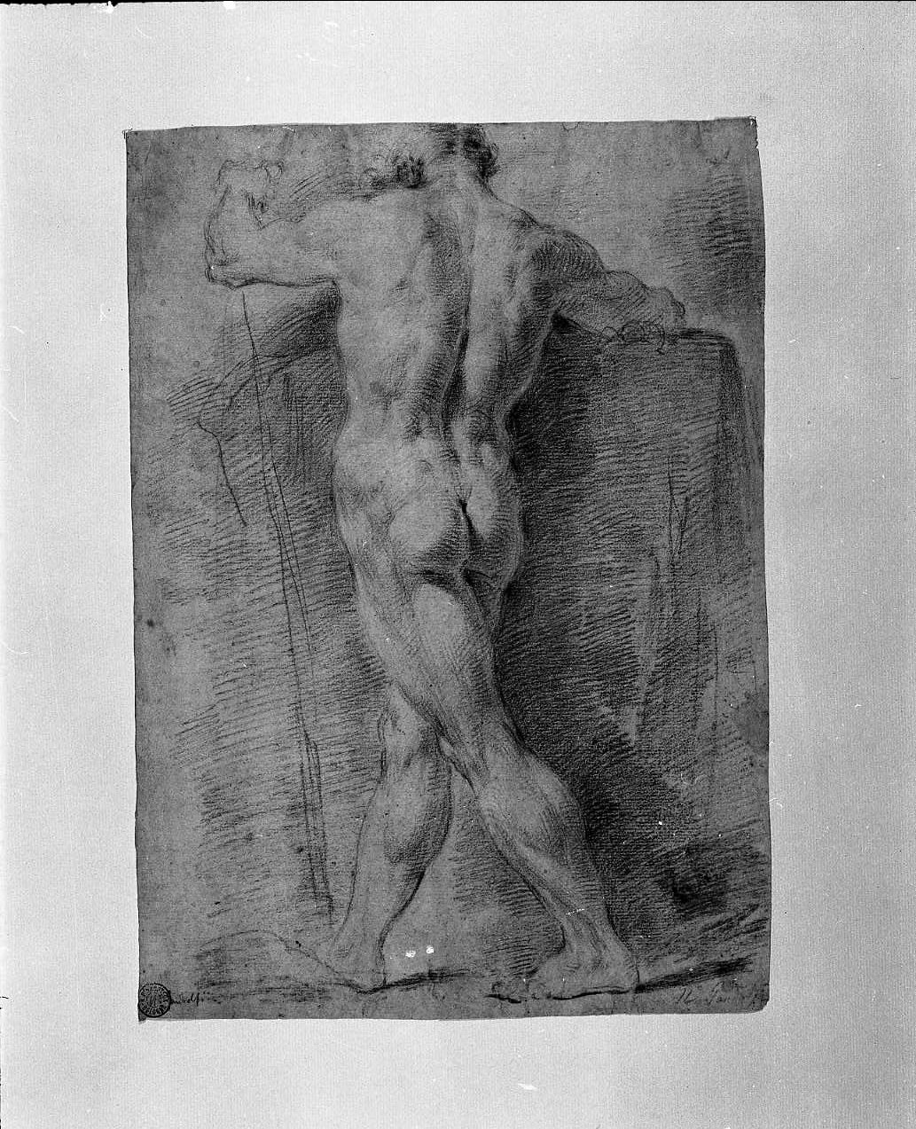 studio di uomo nudo (disegno, opera isolata) di Gandolfi Ubaldo (attribuito) (sec. XVIII)