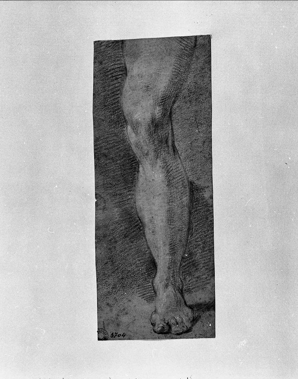 studio di una gamba (disegno, opera isolata) di Gandolfi Ubaldo (attribuito) (sec. XVIII)