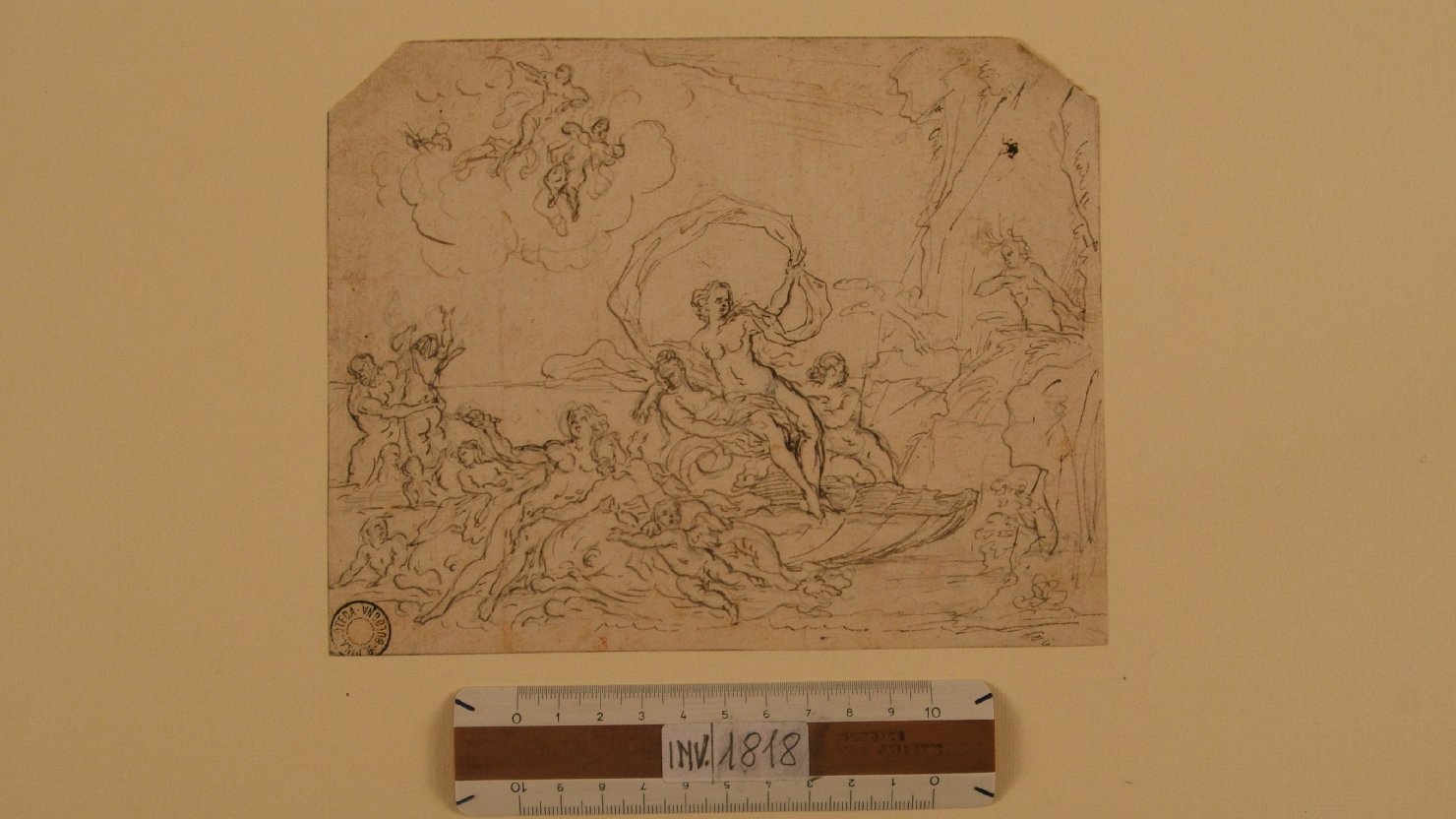 trionfo di Galatea (disegno, opera isolata) di Gabbiani Antonio Domenico (attribuito) (secc. XVII/ XVIII)