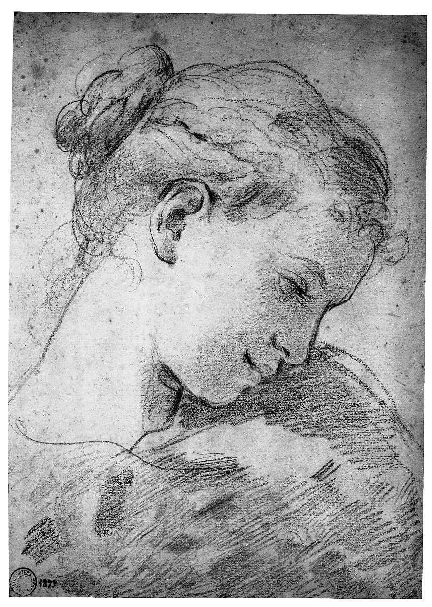 studio di testa femminile/ schizzo di giovanetto (disegno, opera isolata) di Gandolfi Ubaldo (attribuito) (sec. XVIII)