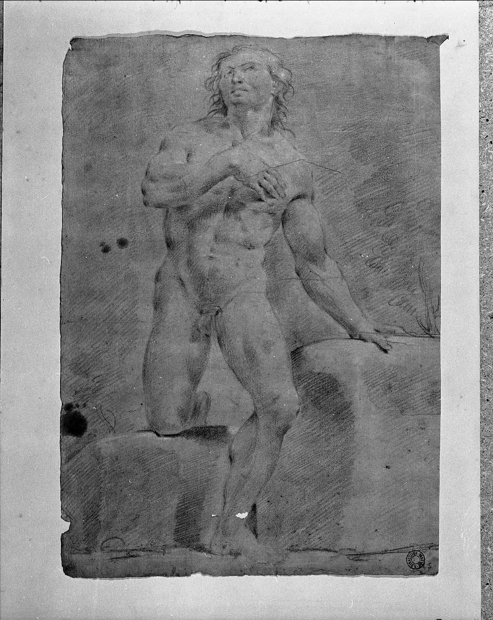 studio accademico di nudo virile (disegno, opera isolata) di Lecavati Tiburzio (sec. XVIII)