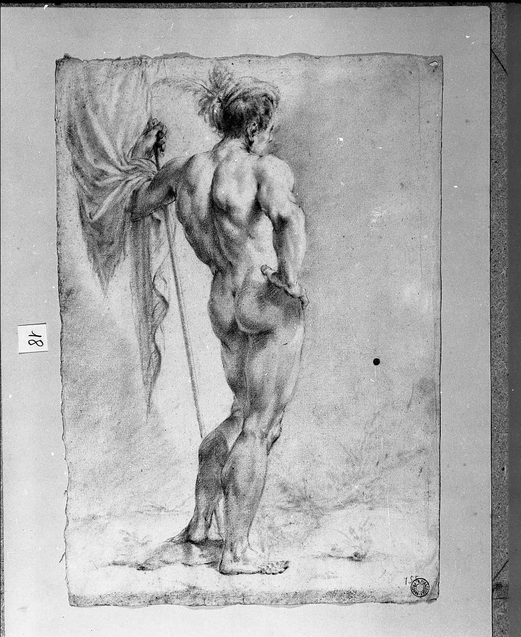 nudo virile visto da tergo (disegno, opera isolata) di Monti Francesco (attribuito) (sec. XVIII)