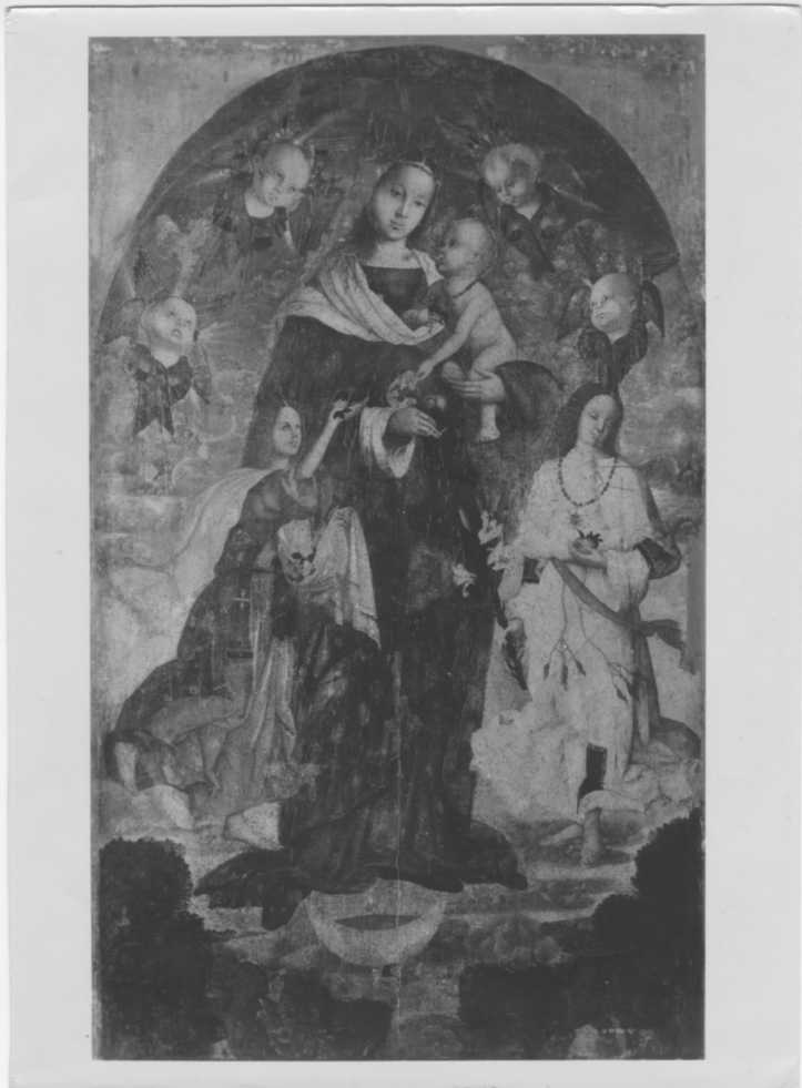 Dipinti - Madonna delle Rose (positivo) di Zaganelli, Francesco, Anonimo (XIX/ XX)