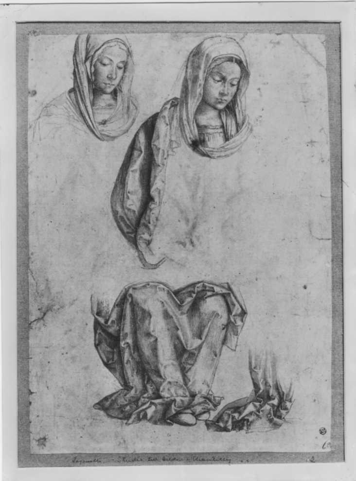Disegni - Studi per una Madonna (positivo) di Zaganelli, Francesco, Anonimo (XIX/ XX)
