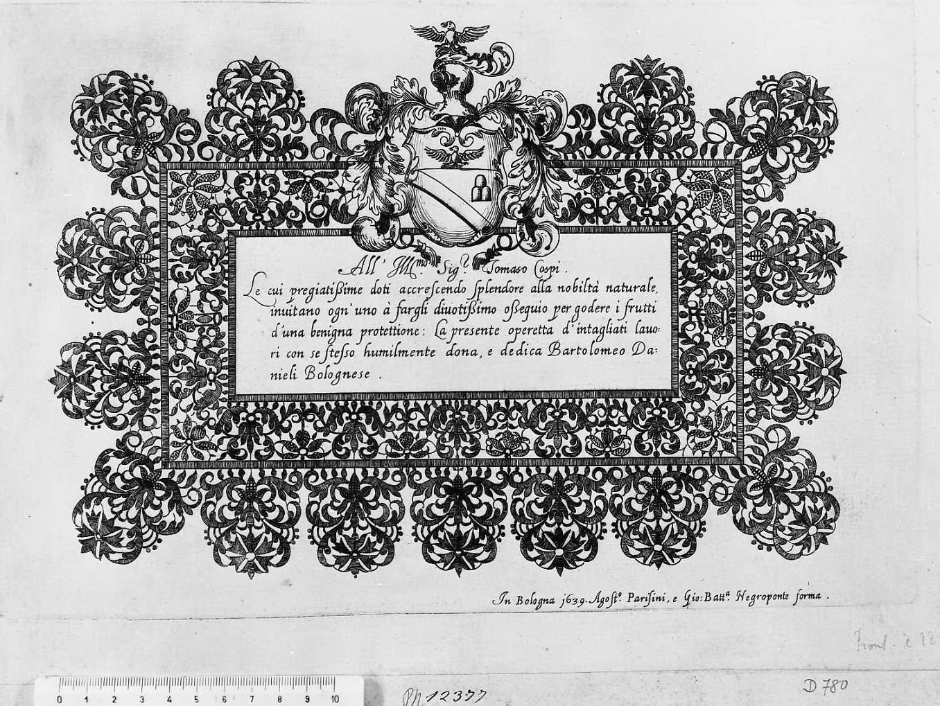Stemma con Girolamo Pilla degli Alberti di Piacenza, stemma gentilizio (stampa tagliata) di Danieli Bartolomeo (prima metà sec. XVII)