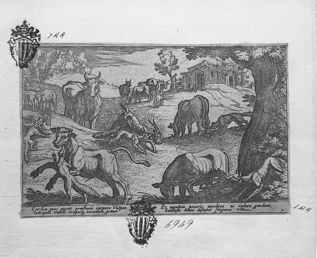 Volpi che assaltono bovini e ovini, caccia (stampa smarginata) di Tempesta Antonio (secc. XVI/ XVII)