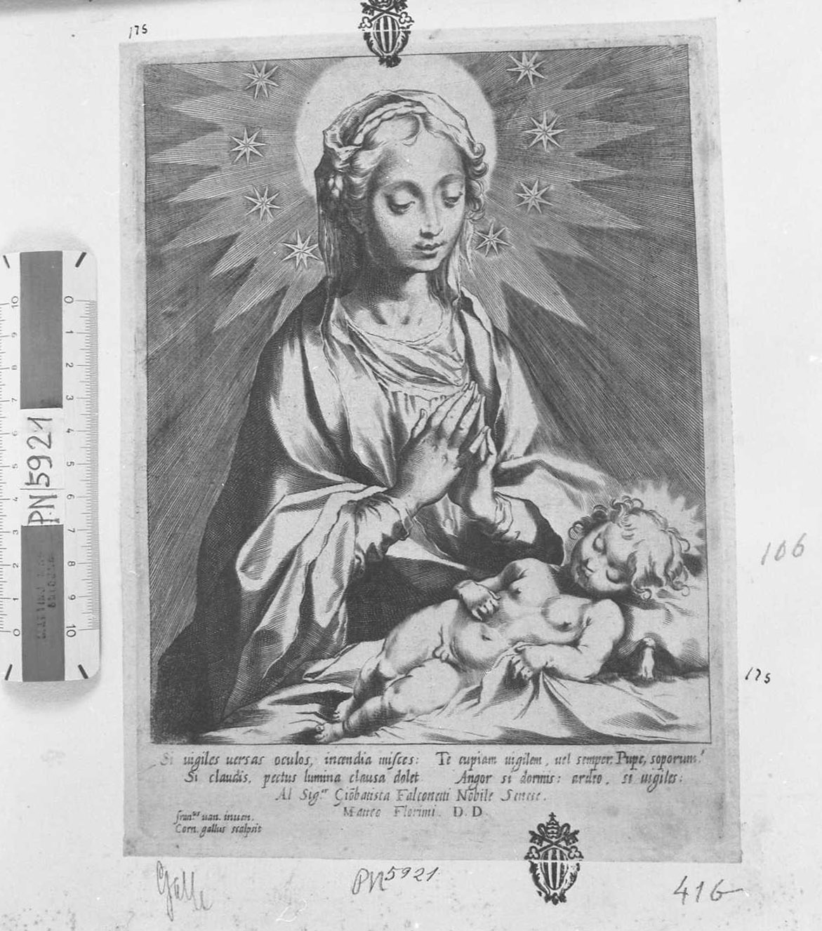 La Vergine immacolata col Bambino dormiente, Vergine (stampa tagliata) di Galle Cornelis III (secc. XVI/ XVII)